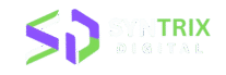 cropped syntric digital logo removebg preview 1 1.png